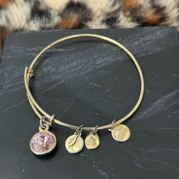 Alex & Ani Charm Bracelets Lot of 8 - 2012 2013 2015 - Picture 5 of 16